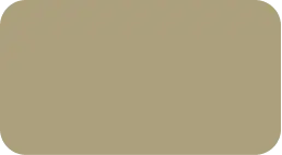 SDA53N (Champagne)