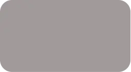 SW17AN (RAL 9007)
