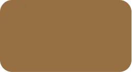 Y2103N (Golden Bronze)