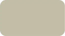 Y2204N (Silver Champagne)