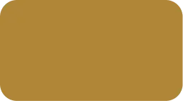 Y2206N (Gold Splendor)